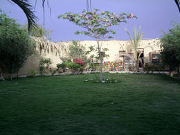 fayum tunis guest house garden