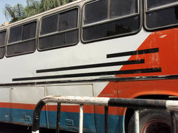 lines bus