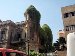 vegetation building