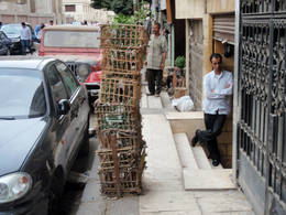 wooden cages