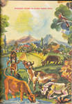 Priroda drustvo  kosovo 
