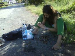 nuts reggioemilia
