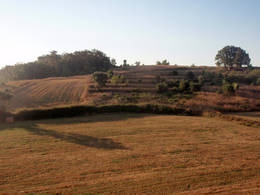  ferral garden
