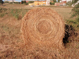  siraw roll