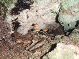 chalk cave