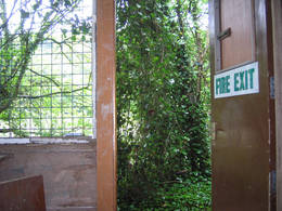  hut