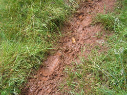 clay finding ashton court