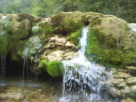 rio Mreznica
