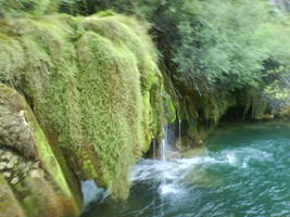 rio Mreznica