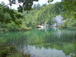 rio Mreznica