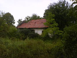 DSC