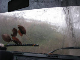 primislje travel