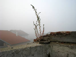 primislje travel