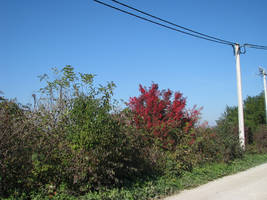 primislje travel