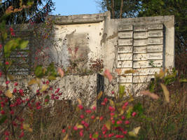 primislje travel