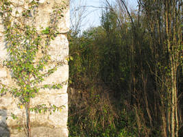 primislje travel