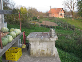primislje travel