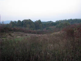 primislje travel