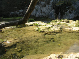 primislje travel