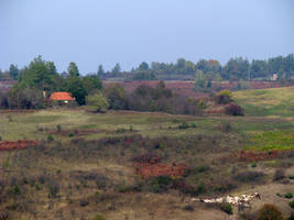 primislje travel