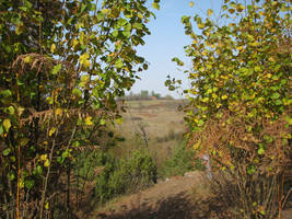 primislje travel