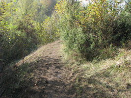 primislje travel