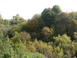 primislje travel