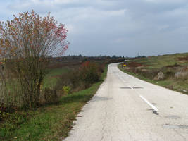 primislje travel