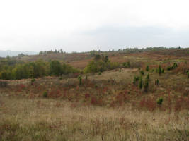 primislje travel