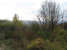 primislje travel