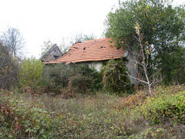 primislje travel