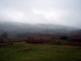primislje travel 