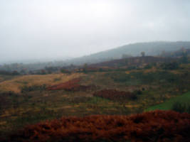 primislje travel 