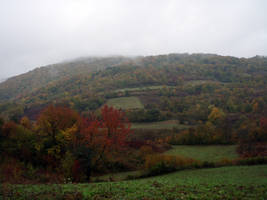 primislje travel 