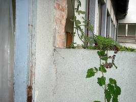 primislje travel 