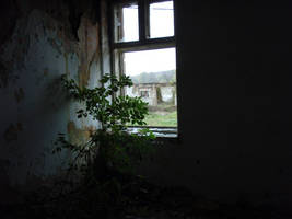 primislje travel 