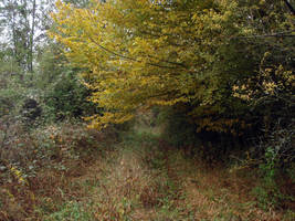 primislje travel 