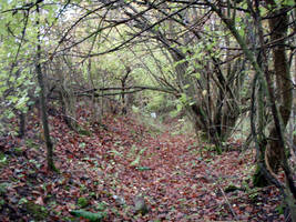 primislje travel 