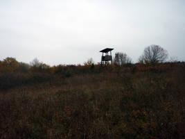 primislje travel 