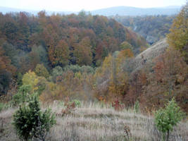 primislje travel 