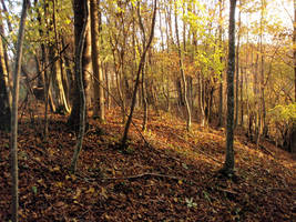 primislje travel 
