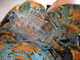 plastic bottle string