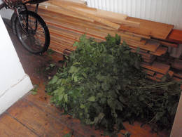 stinging nettle string bundle