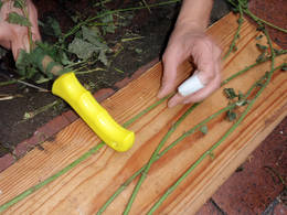 bruising with knife handle