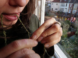 stinging nettle fibre twisting