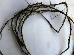 stinging nettle string