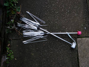 umbrella skeletons